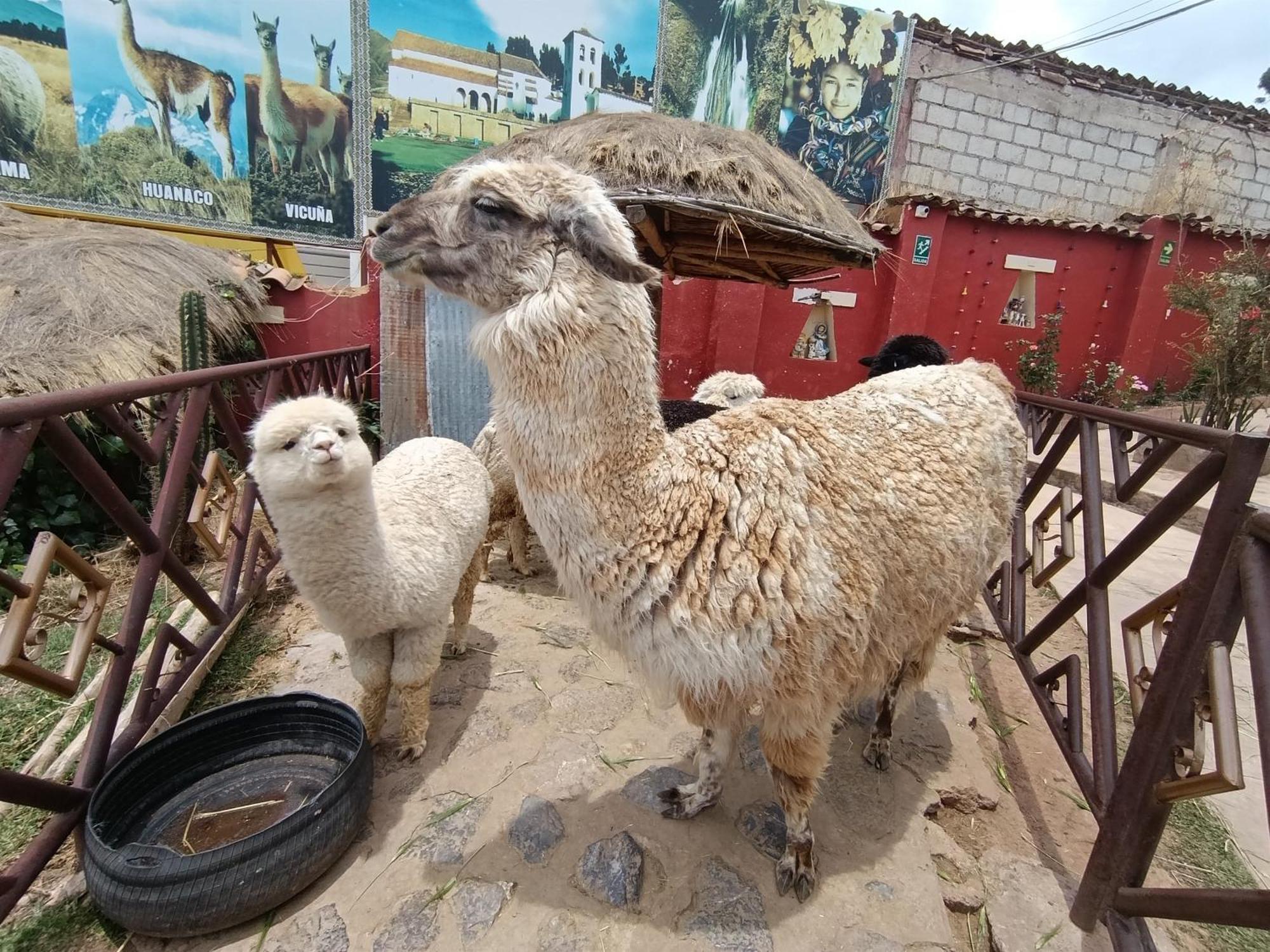 Hotel Humantay Lodge Ollantaytambo Kültér fotó